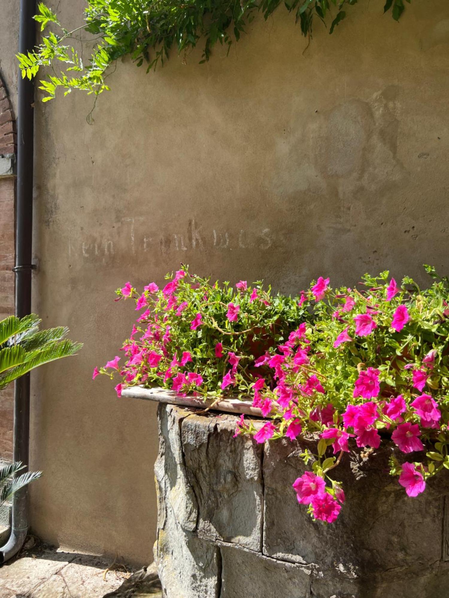 Casa Barattini Zocchetta Exterior foto